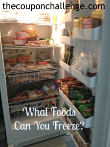 what food can you freeze?