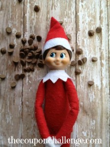 Elf on the Shelf Ideas